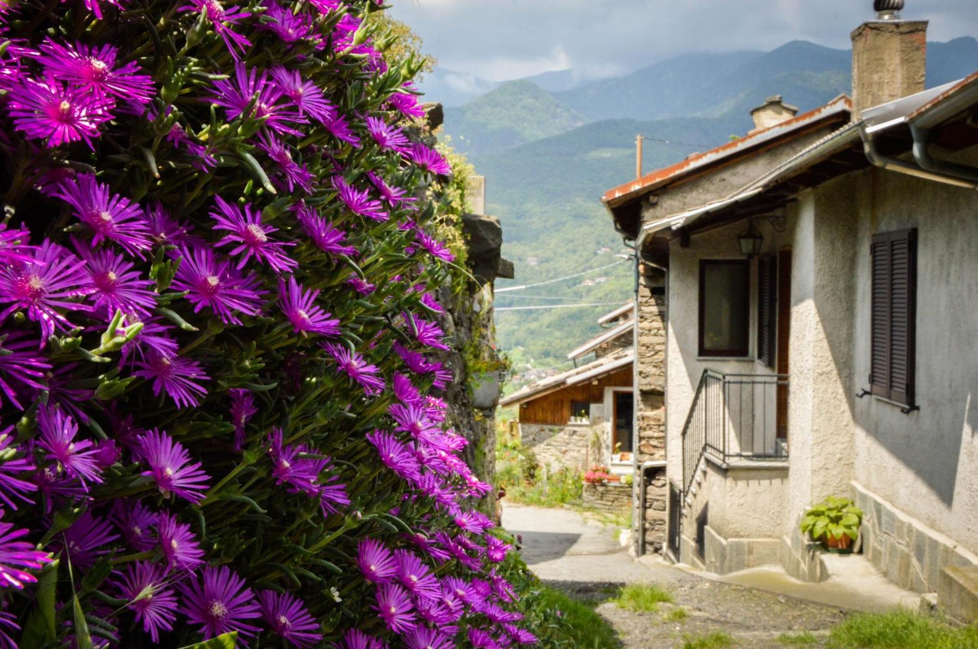 Inverso Pinasca Chalet In Pietra E Legno Con Caminetto מראה חיצוני תמונה